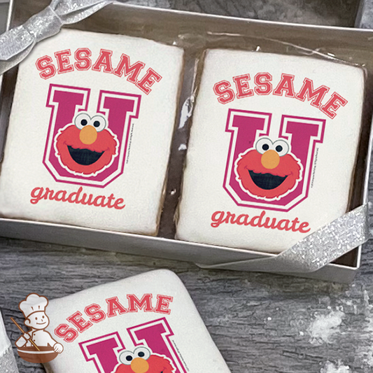 Sesame Street Sesame Graduate Cookie Gift Box (Rectangle)