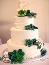 3-tier cake with white icing and decorated with a horizontal texture and succulent plants.