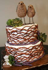 2-tier cake with smooth white icing and decorated with wavy buttercream lines in different shades of brown and succulent plants.